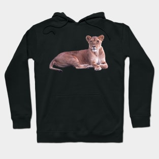 Lioness in Africa Hoodie